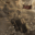deusxmachinarpg.com