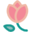 bloominous.com
