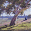 treeassessmentservices.wordpress.com