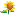 letsbloomtogether.com