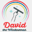 davidthewindowman.com