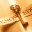 openliink.wordpress.com