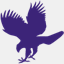 hawkslyknight.com