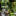 saladlandscape.com