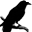 muninn.net
