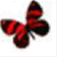 definingpathways.wordpress.com
