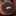 doxiedepot.com