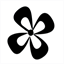 jadondesignstudio.com