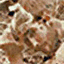 nomad81s.com