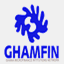 ghamfin.org