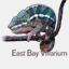 easyraum.de