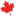 joebeeverz.com
