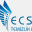 ecstemizlik.com