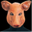 thenewporker.com