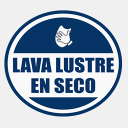 lavalustreenseco.com.ar