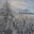flagstaffreview.wordpress.com