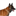 malinois.ro