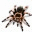 blogsforums.wordpress.com