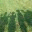 marshmeander.wordpress.com
