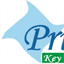 primarykey.in