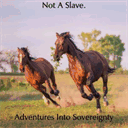 adventuresintosovereignty.org