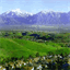 chino-hills.steveolmos.com