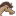 paardengek.be