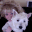 eilynash.com