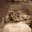 thoughttrade.wordpress.com