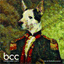 bandcom.com