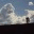 pigeonrun.wordpress.com