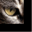 advencode.wordpress.com