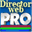 directorwebpro.ro