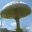 ecobasics.wordpress.com
