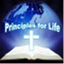 principlesforlifeministries.com