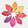 floraldesigner.ro