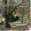tessiersdaylesford.com