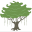 naturespeaking.wordpress.com