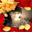 elixir-fr.over-blog.com