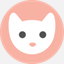 catory.kr
