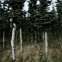 milburndevelopers.com