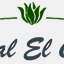 hostalelcruce.com