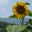 beebranchfarm.com