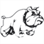 cadier.nl