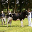 gosforthshow.co.uk