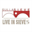sullasieve.it