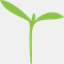 sprout.today