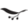 intermediae.es