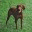 atailoftwovizslas.wordpress.com