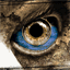 shadohunta.net